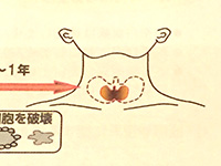 f0143412_2011287.jpg