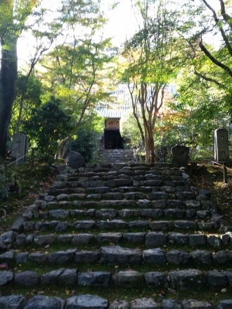 b0183914_13582713.jpg