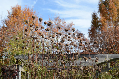 c0107129_2574617.jpg