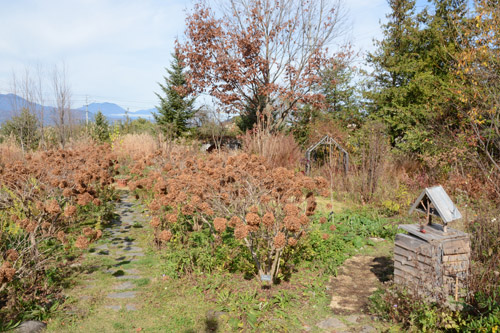 c0107129_302343.jpg