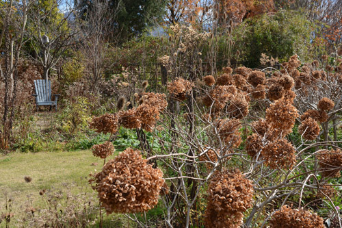 c0107129_312677.jpg