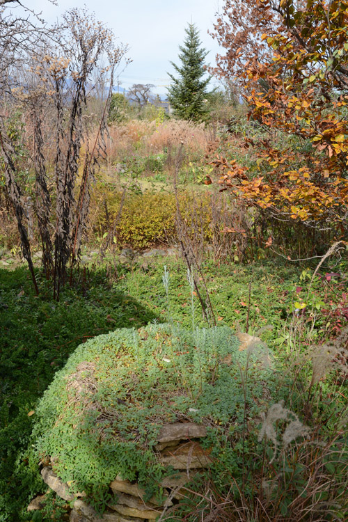 c0107129_314026.jpg
