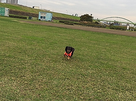 c0117831_22294625.jpg