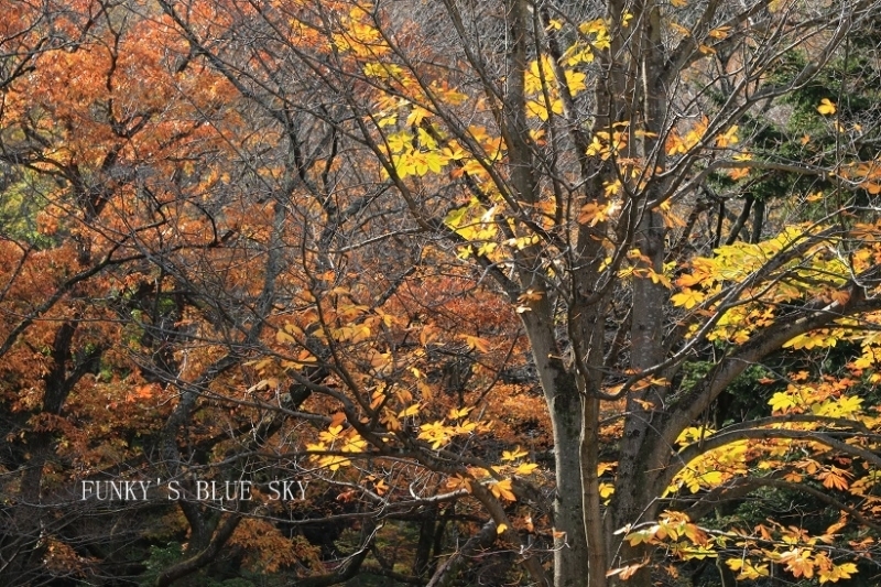 c0145250_15191391.jpg