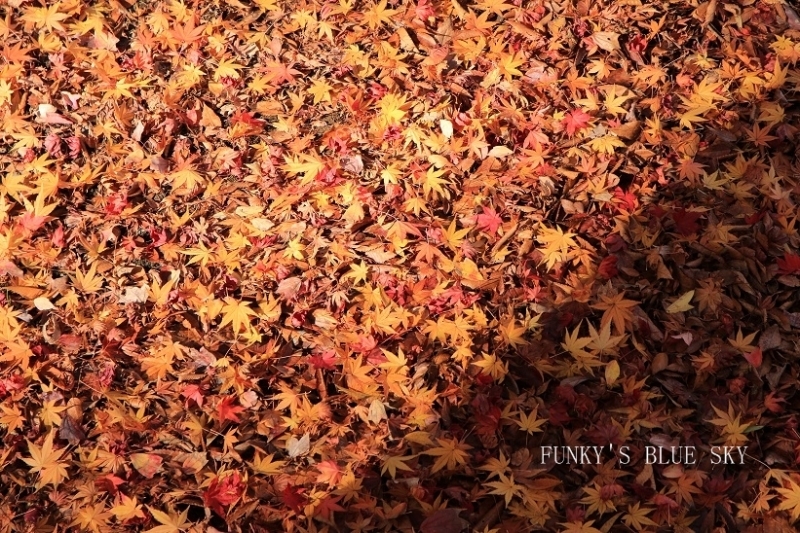 c0145250_15193375.jpg