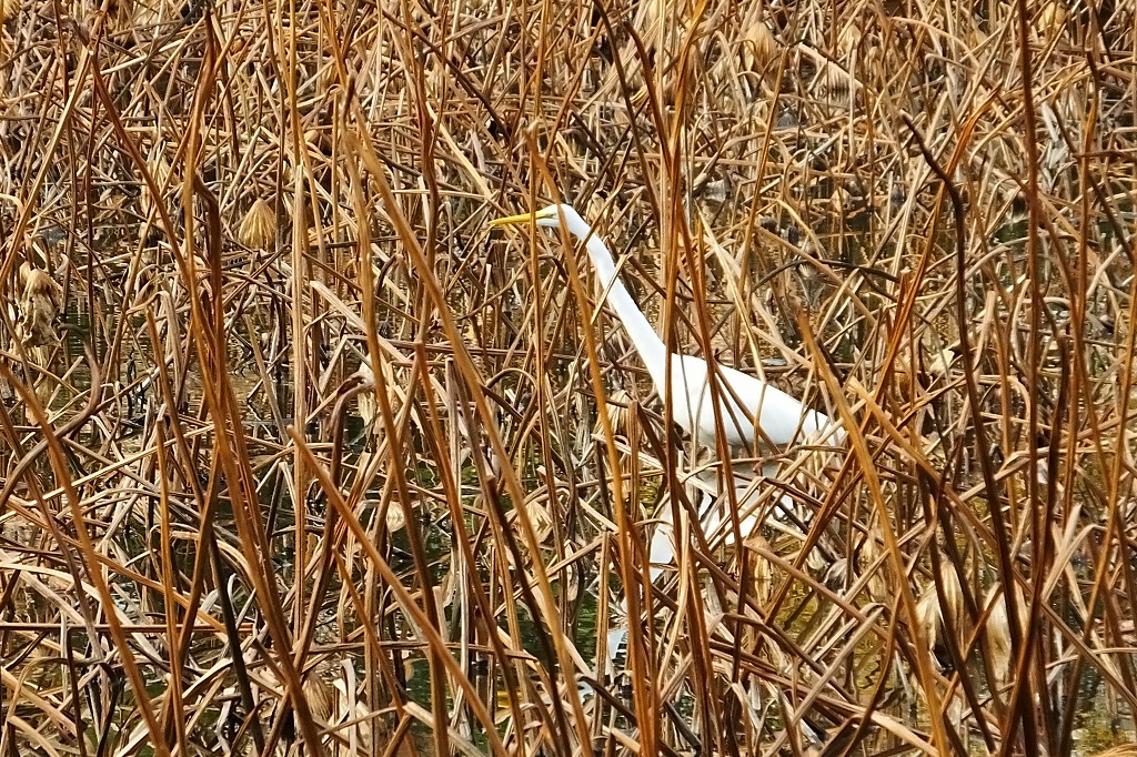 b0236251_11131719.jpg