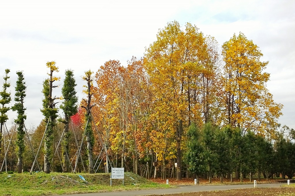 b0236251_115177.jpg