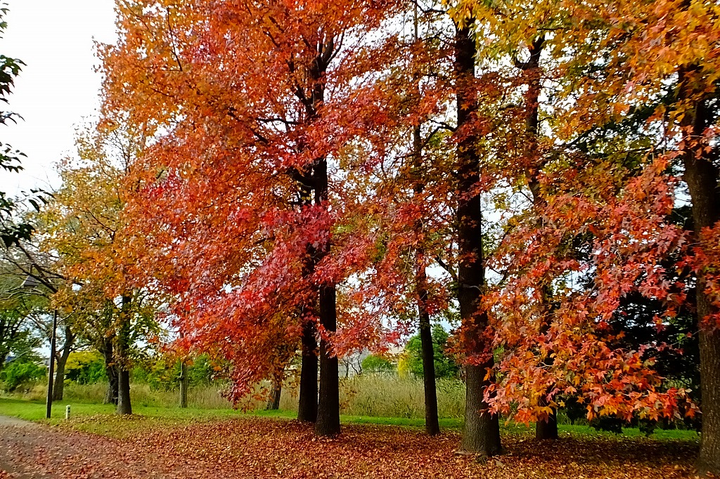 b0236251_1165195.jpg