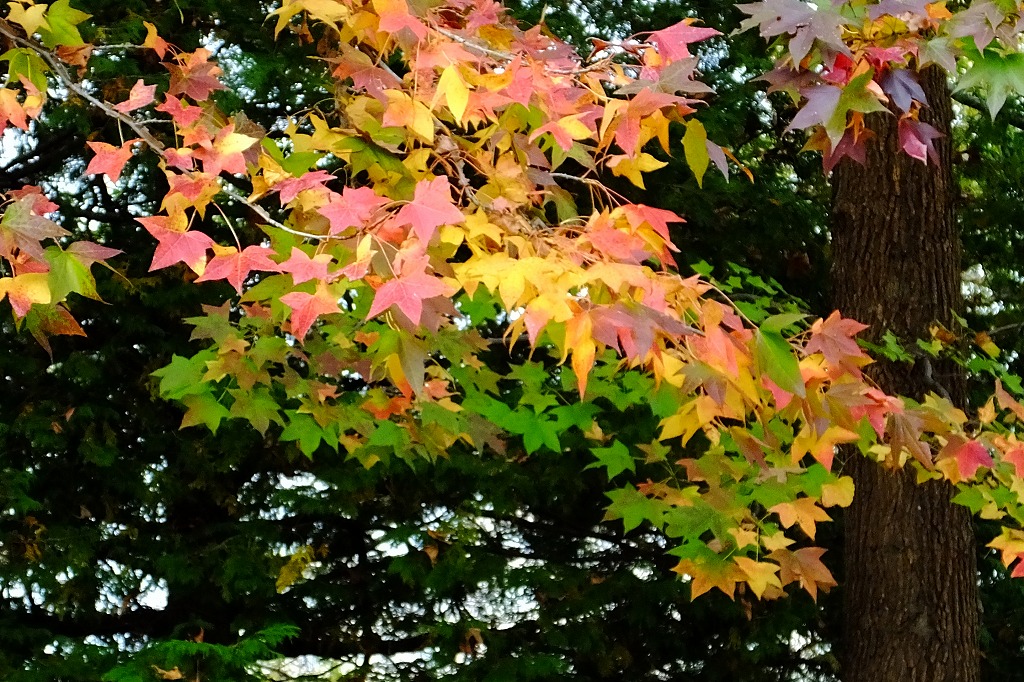 b0236251_1165898.jpg