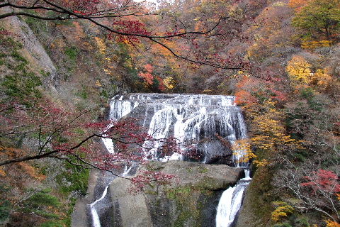 e0088260_1717225.jpg