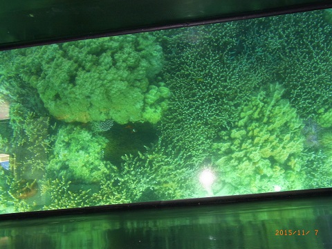 a0288162_1542261.jpg