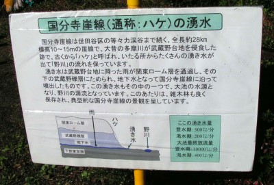 c0112172_23395542.jpg