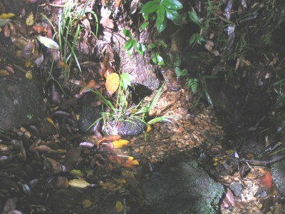 c0112172_2340337.jpg