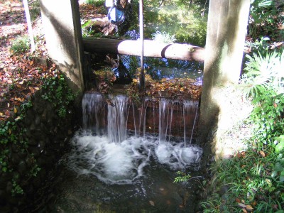 c0112172_23404767.jpg
