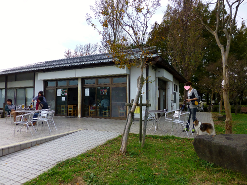 a0157174_2129910.png