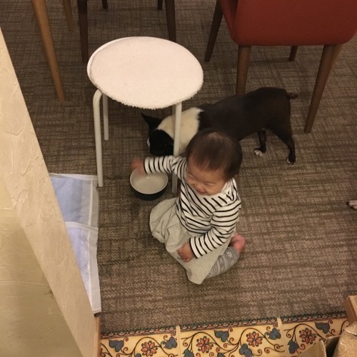d0041575_00150200.jpeg