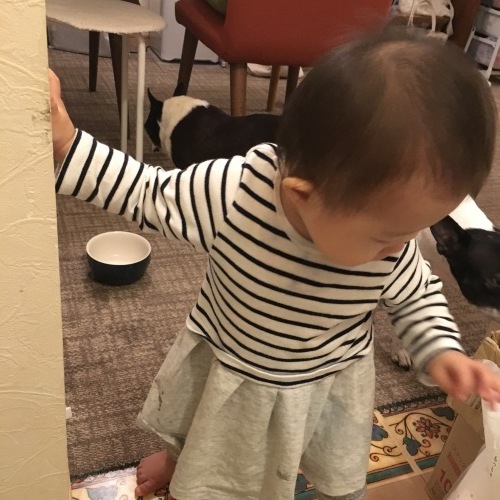d0041575_00160174.jpeg