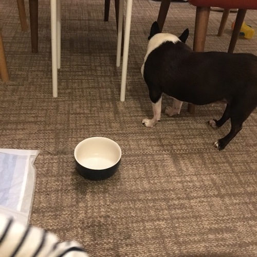 d0041575_00163905.jpeg