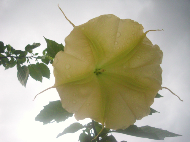 c0075191_21495777.jpg