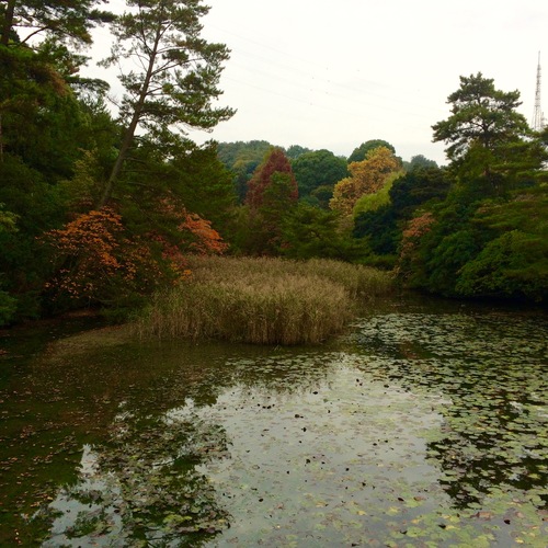a0326292_1128256.jpg