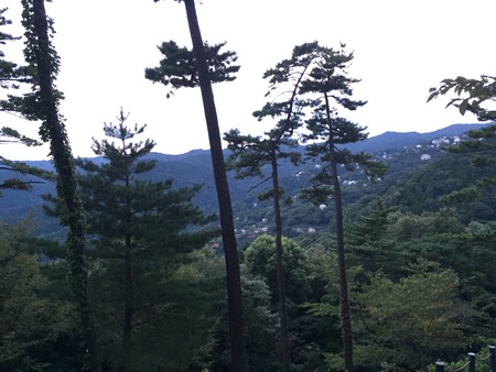 a0218499_18111149.jpg
