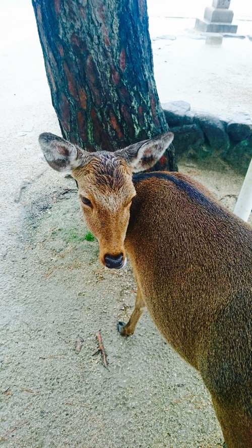 c0202101_014253.jpg