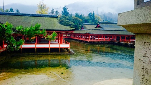 c0202101_083729.jpg