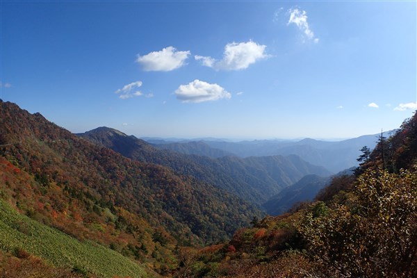 d0272107_17032698.jpg