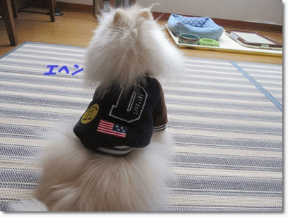 b0167519_0282554.gif
