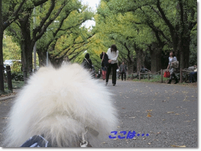b0167519_0304148.gif