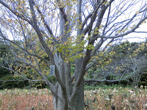 b0285619_20372725.jpg