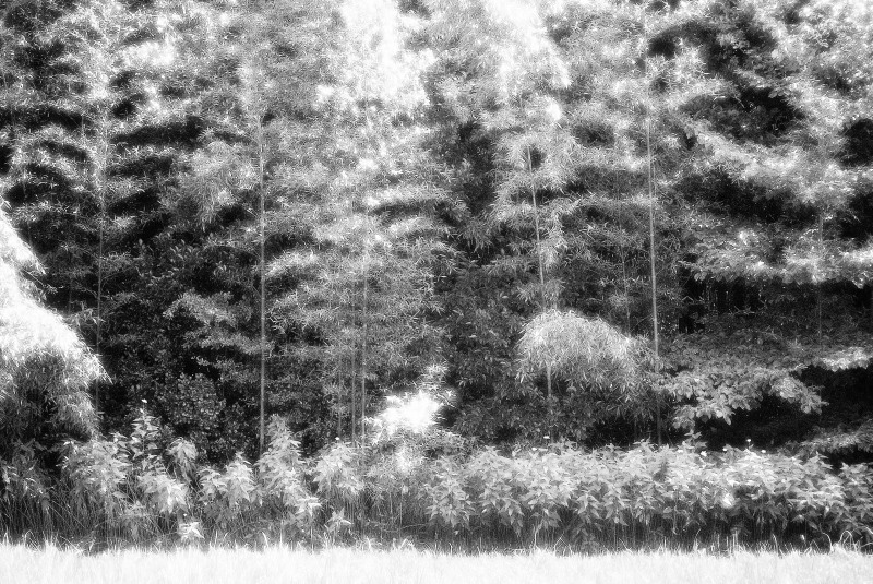 c0109827_1611258.jpg