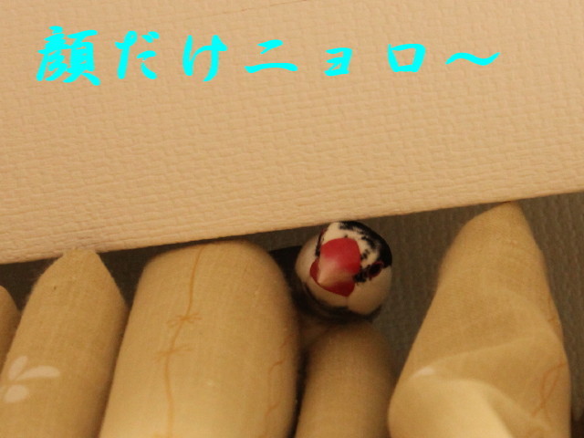 c0365734_22590014.jpg