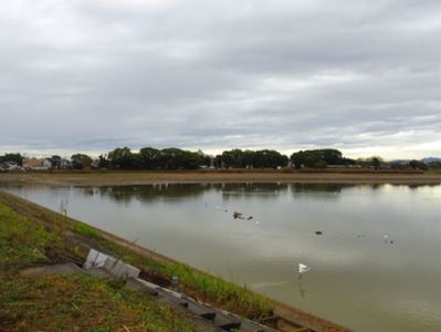 b0220251_5161978.jpg