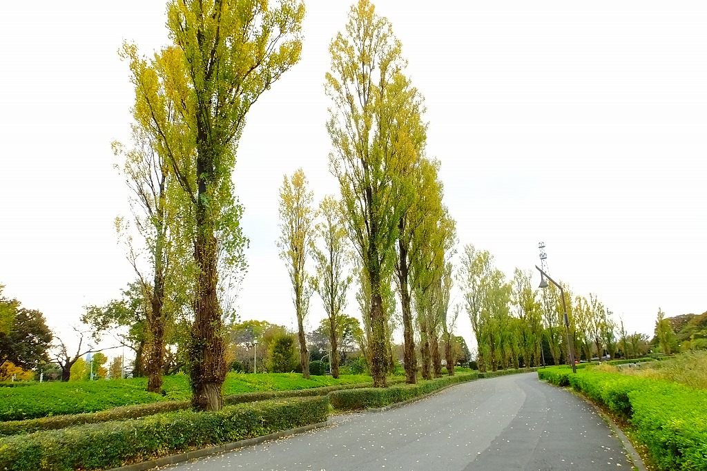 b0236251_21555127.jpg