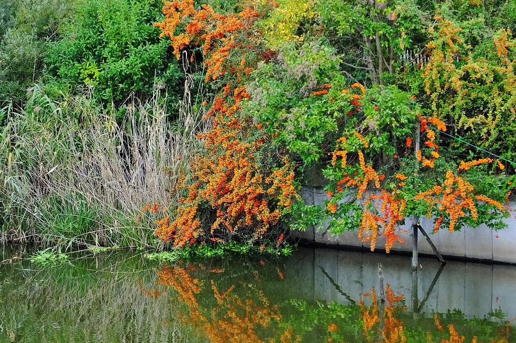 b0236251_21575334.jpg