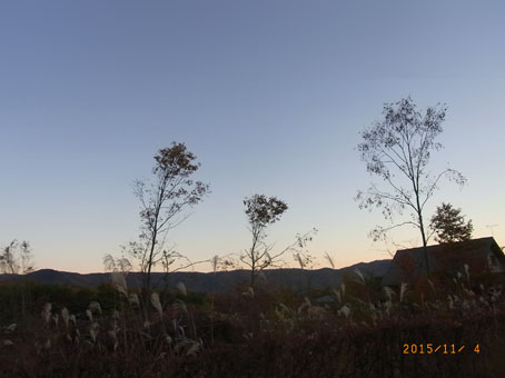 b0075364_22141872.jpg