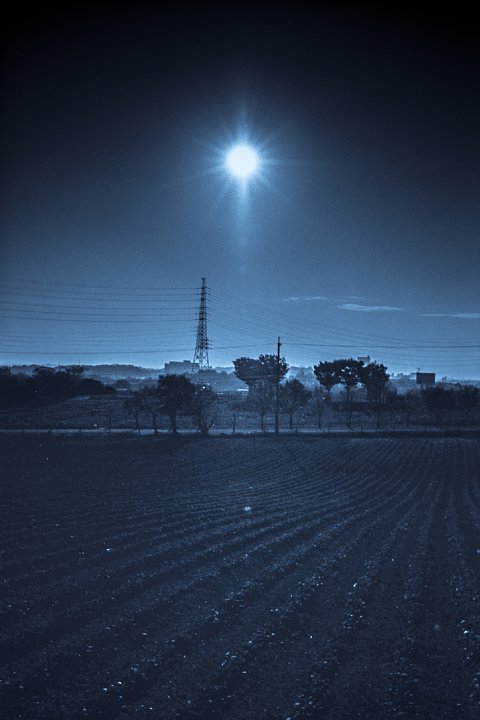 b0175964_18501831.jpg