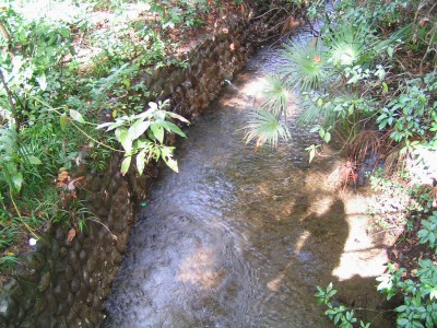 c0112172_23414565.jpg