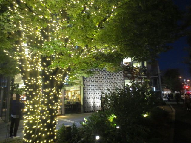 e0212073_11241910.jpg