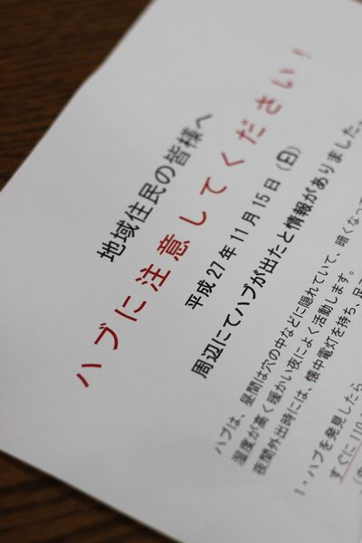 c0139375_11374257.jpg