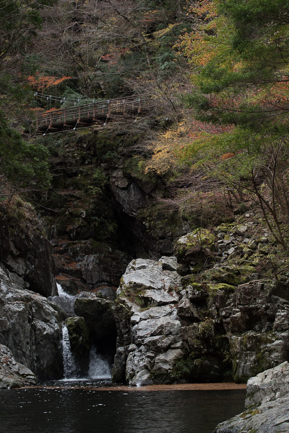 a0301676_07033484.jpg