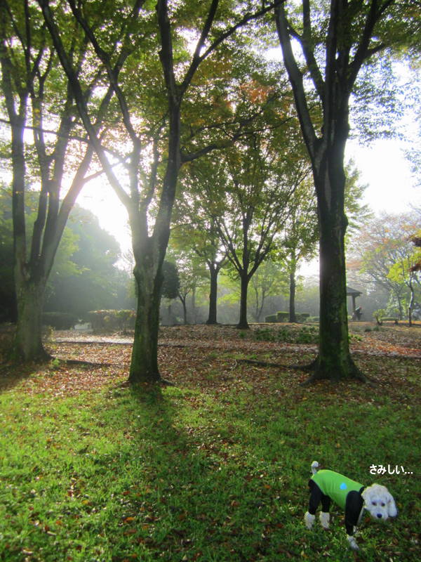 d0264176_1917847.jpg