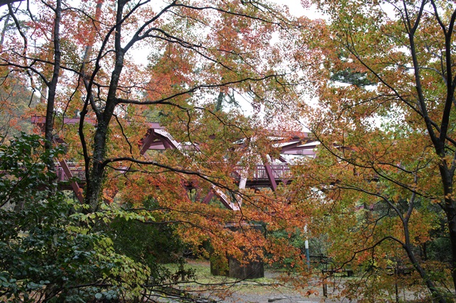 c0163878_9522724.jpg