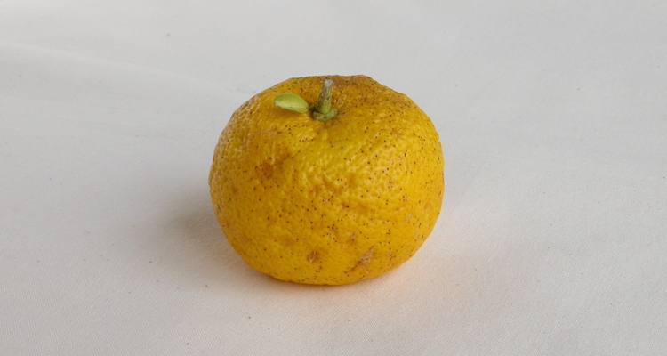 c0168096_7205952.jpg