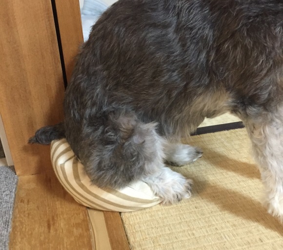 b0188998_23054094.jpeg