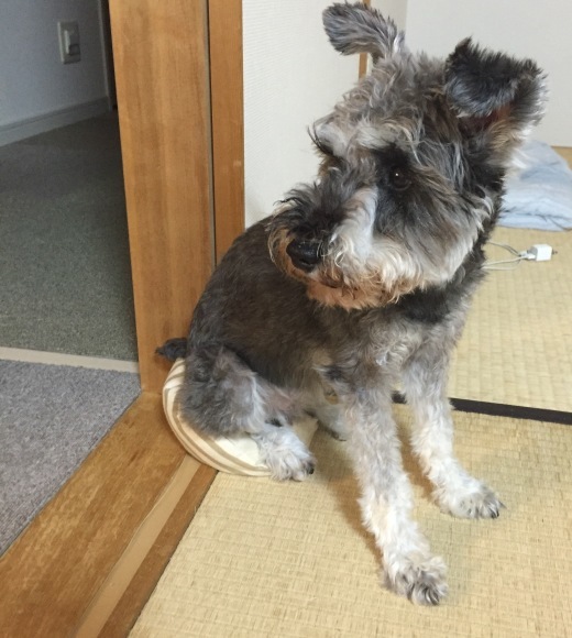 b0188998_23055171.jpeg
