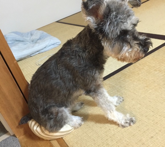 b0188998_23060443.jpeg