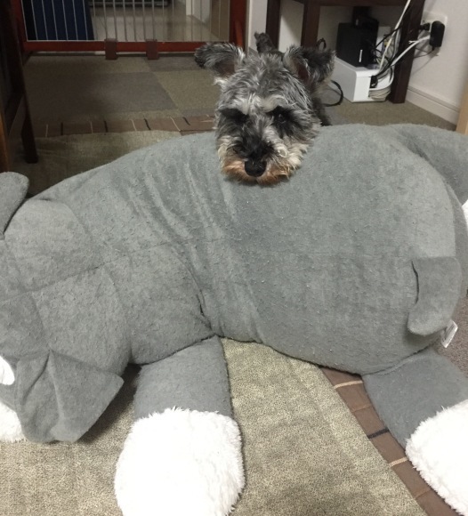 b0188998_23062671.jpeg