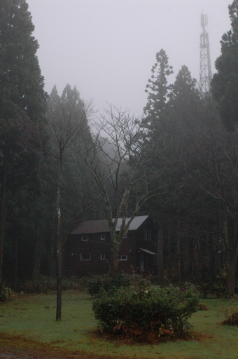 a0061599_7464056.jpg